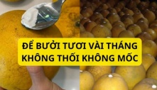 Mùa bưởi, cứ dùng thứ này quét lên quả bưởi thì giữ được vài tháng bưởi không mốc không héo