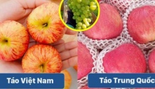 7 loại trái cây Trung Quốc nhập về Việt Nam nhiều nhất, chị em chú ý để trán mua nhầm