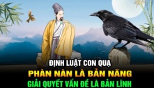 'Định luật con quạ' điều người già nào cũng áp dụng, con cháu báo hiếu đủ đầy