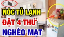 Nóc tủ lạnh hay đặt 3 thứ này bảo sao Thần tài chạy xa, gia chủ làm mãi vẫn không thoát nghèo