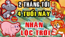 Nhận lộc Trời ban cá Chép hóa Rồng: 3 tuổi đổi đời giàu có, 2 tuổi giàu ú ụ