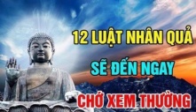 12 luật nhân quả sẽ đến ngay trước mắt đừng nên xem thường