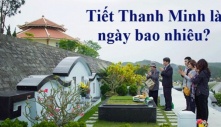 Đi tảo mộ đừng mang hoa hồng, hoa đồng tiền: Đây mới là 3 loại hoa phù hợp, ai không biết quá phí