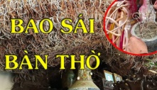 Bao sái ban thờ cứ làm đúng 3 bước này, bề trên ưng thuận, đón năm mới tài lộc dồi dào