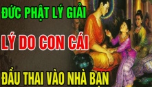 Vì sao đứa trẻ lại muốn đầu thai vào nhà bạn! Dù có con hay không bạn cũng nên đọc