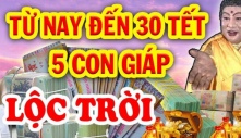 Thành tâm Trời cho may mắn: 4 tuổi hoan hỉ đón tiền tài, vượng phát lên hương từ nay đến Tết Nguyên đán