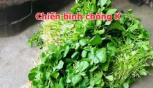 Loại rau cực rẻ ở chợ Việt được Mỹ xếp tốt số 1 thế giới, làm nhiều món ngon lại chống K hiệu quả