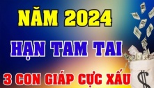 3 năm Tam Tai không bằng 1 năm Thái Tuế: 3 tuổi xung Thái Tuế năm 2024 đen đủ đường, cẩn thận trắng tay