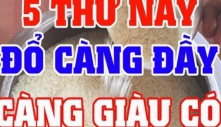 Trong nhà có 5 thứ phải đổ thật đầy, để trống không Thần Tài xa lánh, của nả kéo nhau đi hết