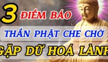 3 điềm báo chứng tỏ bạn đang được Bồ Tát che chở, phúc dày mệnh lớn làm gì cũng gặp hung hóa lành