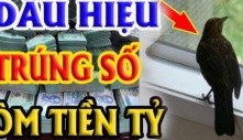 Tổ Tiên nói: ‘4 con vật là đệ tử Thần Tài, gọi tiền bạc về nhà’, thấy đừng đuổi đi