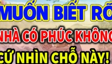 Gia đình có 4 đặc điểm này cho thấy phúc khí đang dần tích tụ, tài lộc ập đến nhà