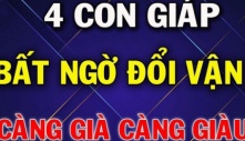 Phú quý đến muộn: 4 tuổi càng già càng giàu, tiền của tiêu thả ga không hết