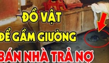 Thầy phong thuỷ nhắc: “Dưới gầm giường có 3 thứ, nhà tan cửa nát”, thứ gì phải vứt bỏ ngay?