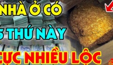 Nhà ai có 5 dấu hiệu này: Chúc mừng gia đình ở trong mảnh đất có kho báu phong thủy, cực giàu