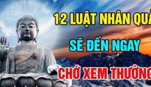 12 luật nhân quả sẽ đến ngay trước mắt đừng nên xem thường