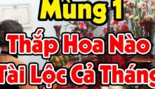 Cúng Rằm, mùng 1 đừng đặt hoa cúc lên bàn thờ mãi: Đây mới là 3 loại hoa hút lộc, nghe tên đã giàu