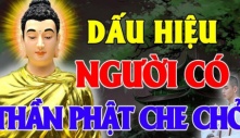 Ở đời có 2 kiểu người vĩnh viễn không bị cuộc sống vùi dập, chỉ cần sống tốt trời xanh sẽ an bài