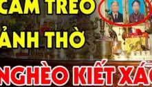 Làm trầy trật vẫn nghèo, con cháu khó khăn chồng chất xem ngay ảnh thờ có phạm 5 đại kỵ sau không