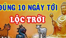 10 ngày tới: 3 tuổi như Hổ mọc thêm cánh công danh thăng tiến, tiền bạc phủ phê tiêu xài thoải mái