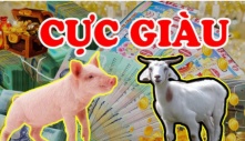 3 tuổi vượt Vũ Môn cá Chép hóa Rồng: Hết đêm nay kinh doanh đắc tài, cực kỳ giàu có