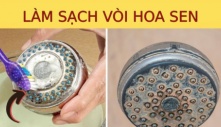 Vòi sen dùng lâu tích cặn bẩn, nước chảy yếu: Ngâm vào thứ nước này, chất bẩn tự bong, loại sạch vi khuẩn