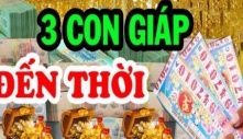 3 con giáp nói ít làm nhiều, đến lúc thành công mới biết họ là ai: Đứng đầu là Dậu