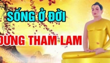 Kiểu người muốn ”được” mà không muốn ”vứt bỏ” bất cứ thứ gì thường không thể thoát khỏi số phận thế này