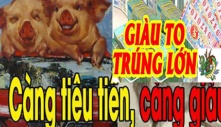 3 con giáp nhận phúc lớn trong 7 ngày tới, phất lên như diều gặp gió, vận may đỏ chót