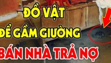 Thầy phong thuỷ nhắc: “Dưới gầm giường có 3 thứ, nhà tan cửa nát”, thứ gì phải vứt bỏ ngay?