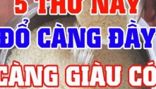 Trong nhà có 5 thứ phải đổ thật đầy, để trống không Thần Tài xa lánh, của nả kéo nhau đi hết