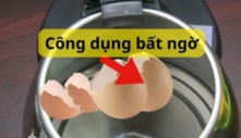 Cho vỏ trứng vào ấm siêu tốc và đun sôi, bạn sẽ thấy điều bất ngờ, áp dụng ngay kẻo phí