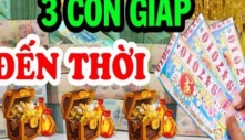 3 con giáp nói ít làm nhiều, đến lúc thành công mới biết họ là ai: Đứng đầu là Dậu