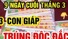 Từ ngày 22/4 đến 30/4, 3 con giáp trúng đậm tiền tài, ngồi không hưởng phước, phú quý vây quanh, phát tài phát lộc