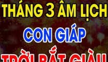 Bước qua tháng 3 âm lịch, 3 con giáp có tiền tài ập đến, cập bến giàu có, vận may thấm vào người, một bước lên đời