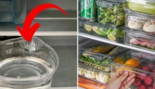 Ban đêm đặt bát nước trong tủ lạnh có tác dụng đặc biệt, giúp tiết kiệm tiền mà nhiều người chưa biết