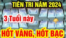 3 tuổi số đỏ như son trong tháng 6 Dương: 1 tuổi cá Chép hóa Rồng đạp trúng Hố Vàng cực kỳ giàu có