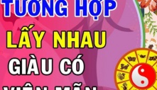 Vợ chồng đúng tuổi và mệnh này kết hợp với nhau là phúc 10 đời, đại cát đại lợi, ‘tiền vào như nước’