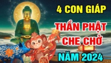 Phật độ trời thương: 4 tuổi giàu như vũ bão, 3 năm tới làm gì cũng thuận, giàu lên ú ụ