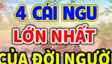 Cổ nhân chỉ ra 4 cái ngu lớn nhất đời người: Số 1 là cái ngu lớn nhất, nhiều người mắc phải nhất