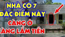 Nhà ai có 7 dấu hiệu này: Chúc mừng vì ở trong mảnh đất có kho báu phong thủy, cực giàu