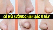 Ai có tướng mũi này tài lộc vây quanh, kiếm tiền quá dễ