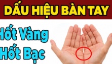 Bàn tay có đặc điểm giàu sang phú quý, 3 đời tiêu không hết của, đặc biệt số 2 rất hiếm gặp