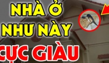 Được trả bao nhiêu tiền cũng không bao giờ bán 5 ngôi nhà này: Đất có kho báu phong thủy càng ở càng giàu