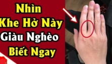 Khép bàn tay lại nhìn khe hở bàn tay biết tương lại bạn thành đại gia hay làm thuê mãi mãi