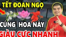 Tết Đoan Ngọ đặt 5 loại quả này lên bàn thờ: Gia chủ sung túc, đếm tiền mỏi tay 