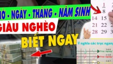 Cộng tổng ngày tháng năm sinh lại, ra đúng bằng con số này cả đời của nả chẳng lo