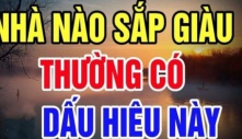 Trong nhà đột nhiên xuất hiện 4 điềm này: Chứng tỏ gia chủ được ăn lộc Tổ Tiên, may mắn liên tiếp