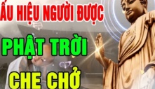 Ở đời có 2 kiểu người vĩnh viễn không bị cuộc sống vùi dập, chỉ cần sống tốt trời xanh sẽ an bài