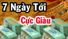 Tuần mới từ 22/7 - 28/7 Dương lịch: 3 tuổi ăn lộc Thánh Cô tiền vào như nước Sông Đà